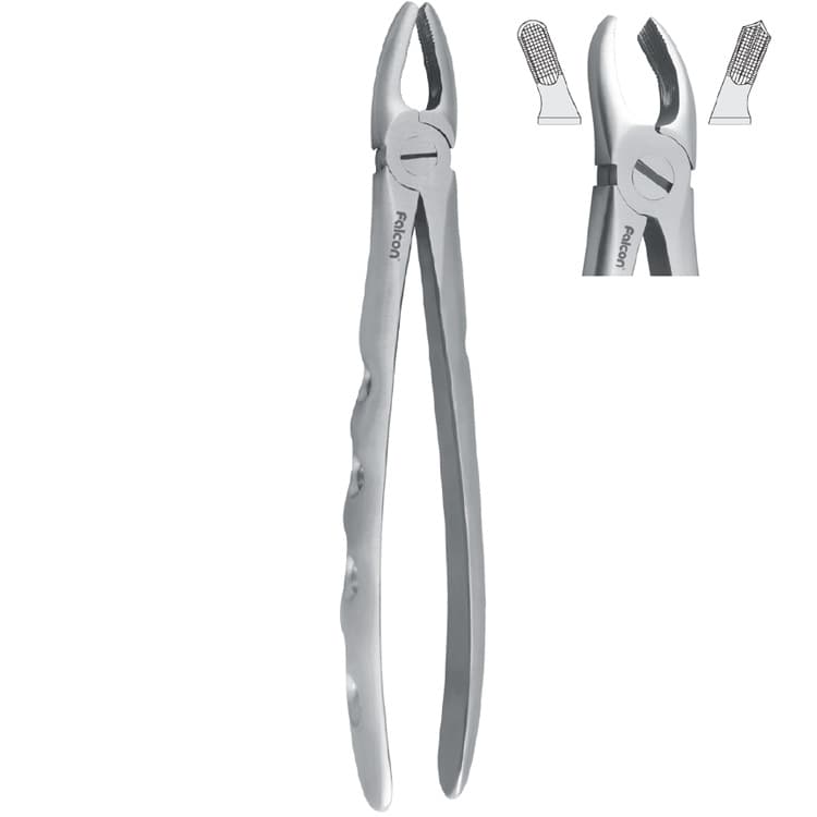 Extraction forceps with anatomical handle fig. 18 – oficiali Falcon Medical produkto nuotrauka