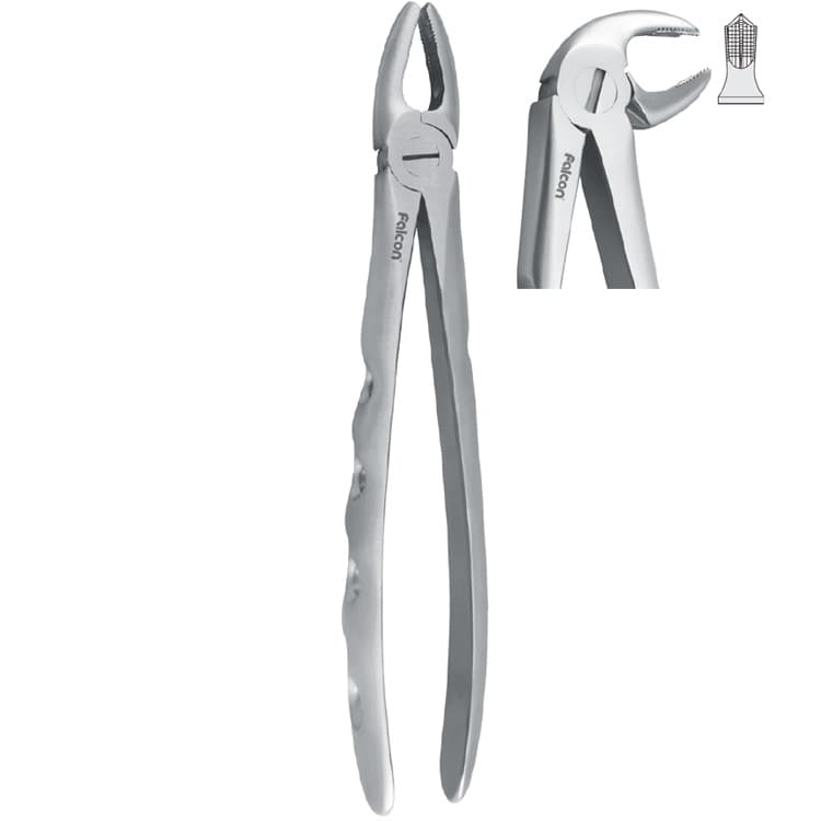 Extraction forceps with anatomical handle fig. 22 – oficiali Falcon Medical produkto nuotrauka