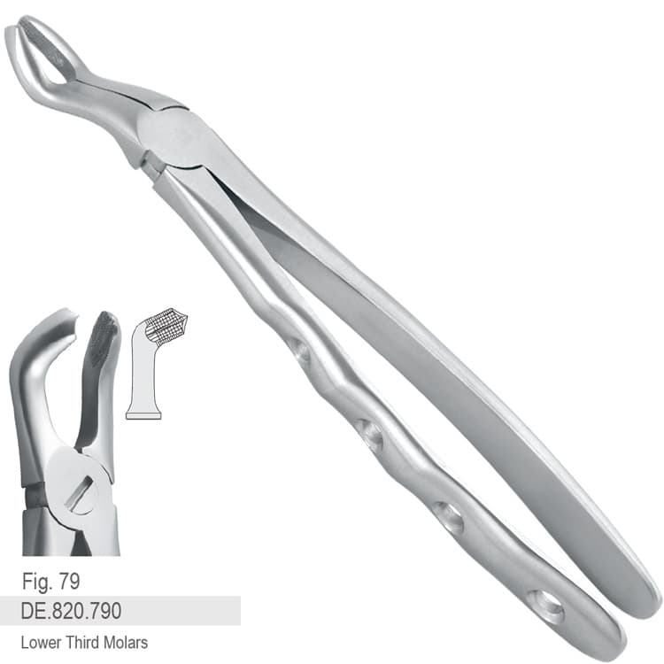 Extraction forceps with anatomical handle fig. 79 – oficiali Falcon Medical produkto nuotrauka