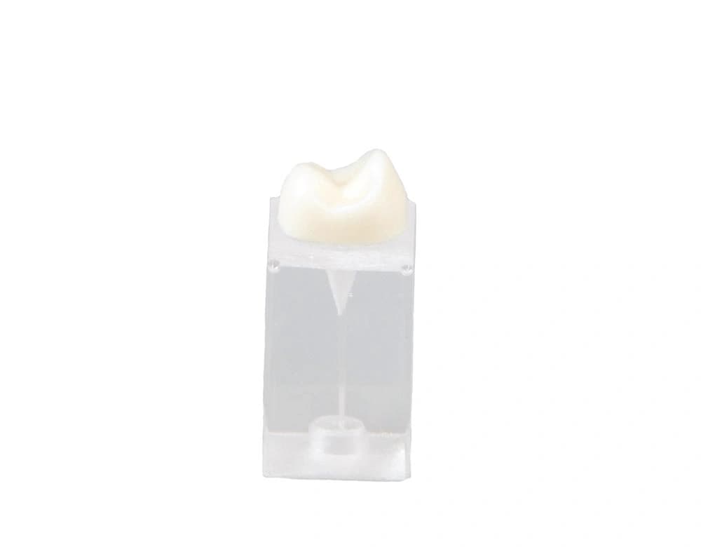 Skaidrus blokelis endodontiniams pratimams E09/C - oficiali GF Dental produkto nuotrauka