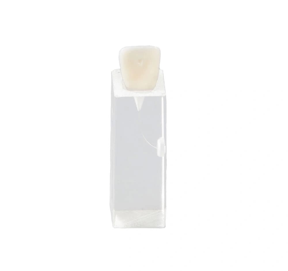 Skaidrus blokelis endodontiniams pratimams E10/C - oficiali GF Dental produkto nuotrauka
