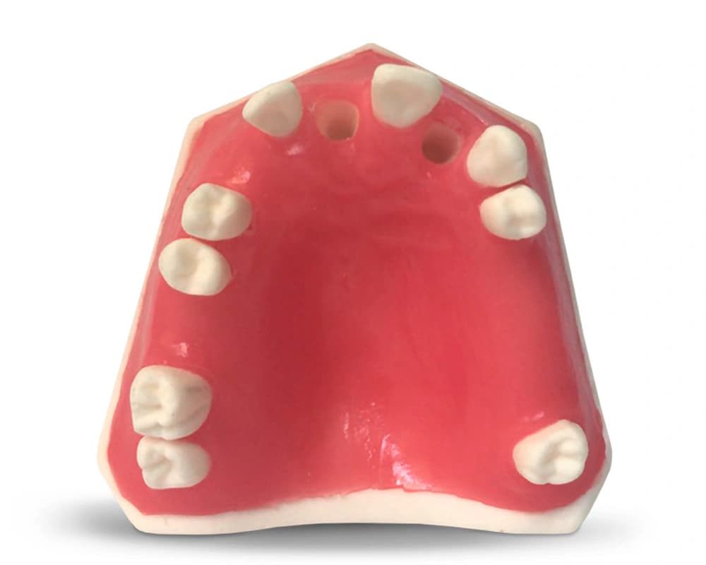 Poekstrakcinės implantologijos žandikaulio modelis E37 - oficiali GF Dental produkto nuotrauka