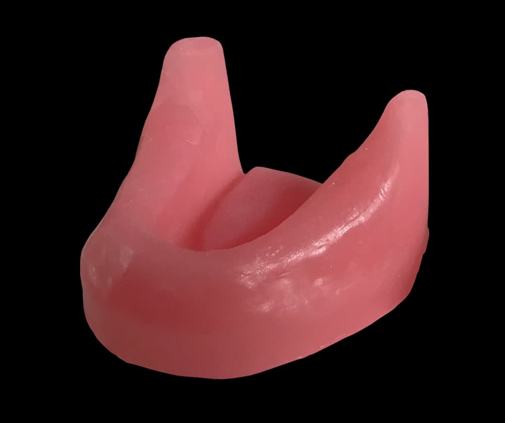 Sintetinio kaulo apatinio žandikaulio modelis su dantenomis - oficiali GF Dental produkto nuotrauka