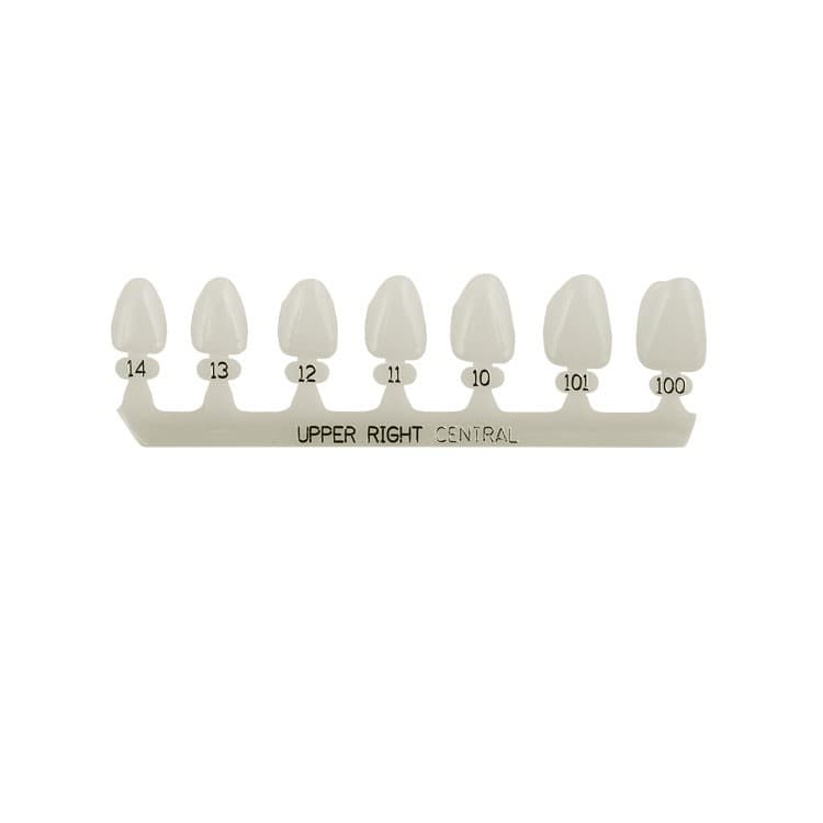 Polycarbonate temporary crowns upper central incisors right (Pack of 5 pieces) – oficiali Falcon Medical produkto nuotrauka