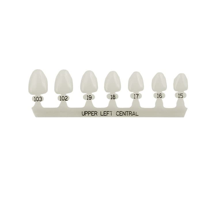 Polycarbonate temporary crowns upper central incisors left (Pack of 5 pieces) – oficiali Falcon Medical produkto nuotrauka
