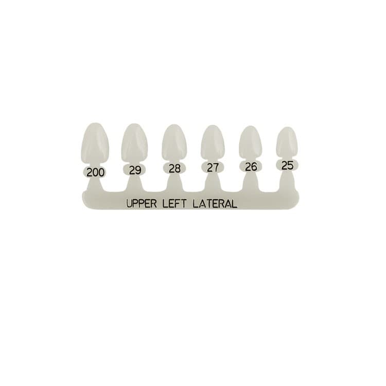 Polycarbonate temporary crowns upper lateral incisors left (Pack of 5 pieces) – oficiali Falcon Medical produkto nuotrauka