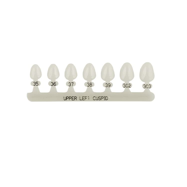 Polycarbonate temporary crowns upper canines left (Pack of 5 pieces) – oficiali Falcon Medical produkto nuotrauka