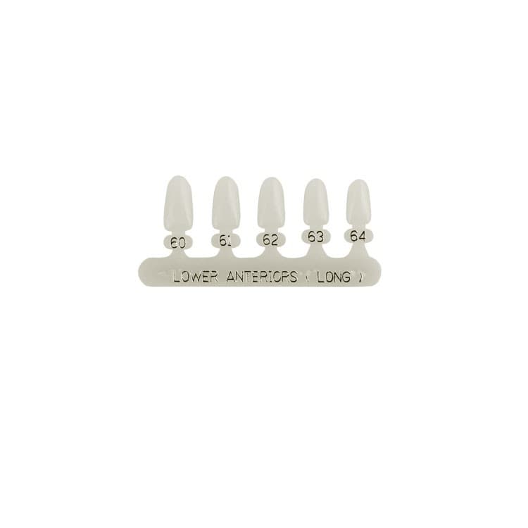 Polycarbonate temporary crowns lower incisors long (Pack of 5 pieces) – oficiali Falcon Medical produkto nuotrauka