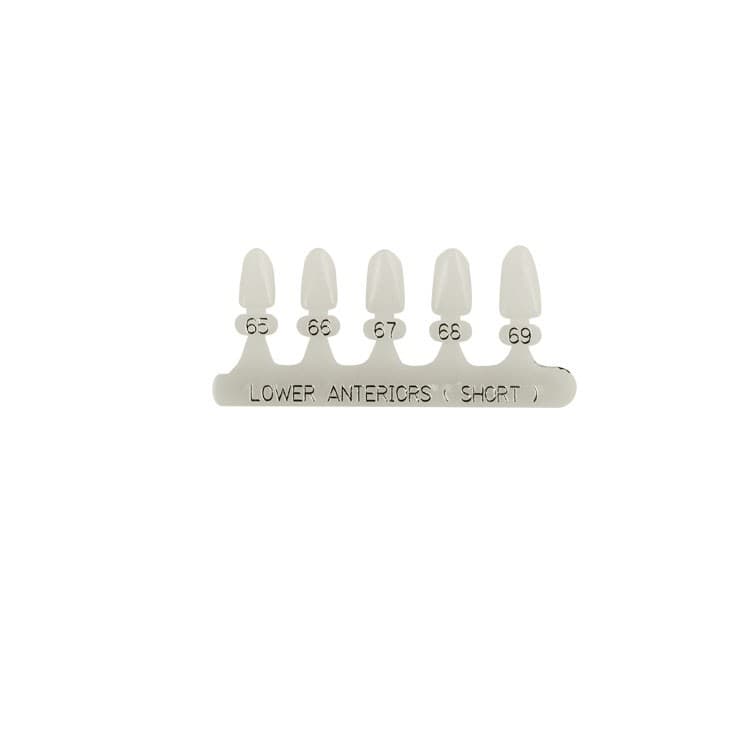 Polycarbonate temporary crowns lower incisors short (Pack of 5 pieces) – oficiali Falcon Medical produkto nuotrauka
