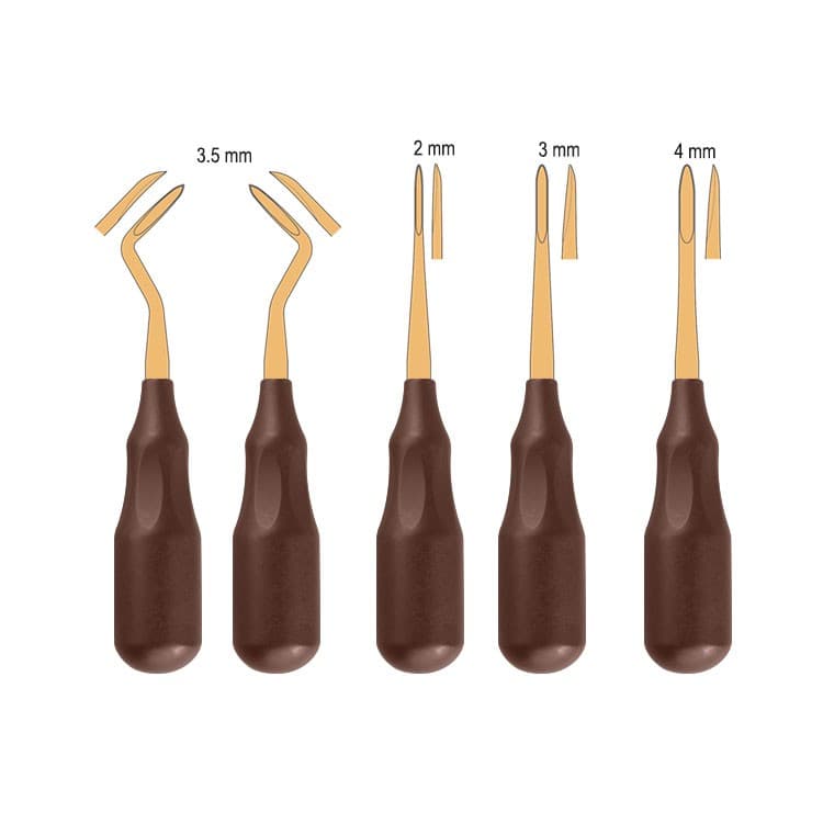Century-Line Set of 5 best selling European elevators – oficiali Falcon Medical produkto nuotrauka