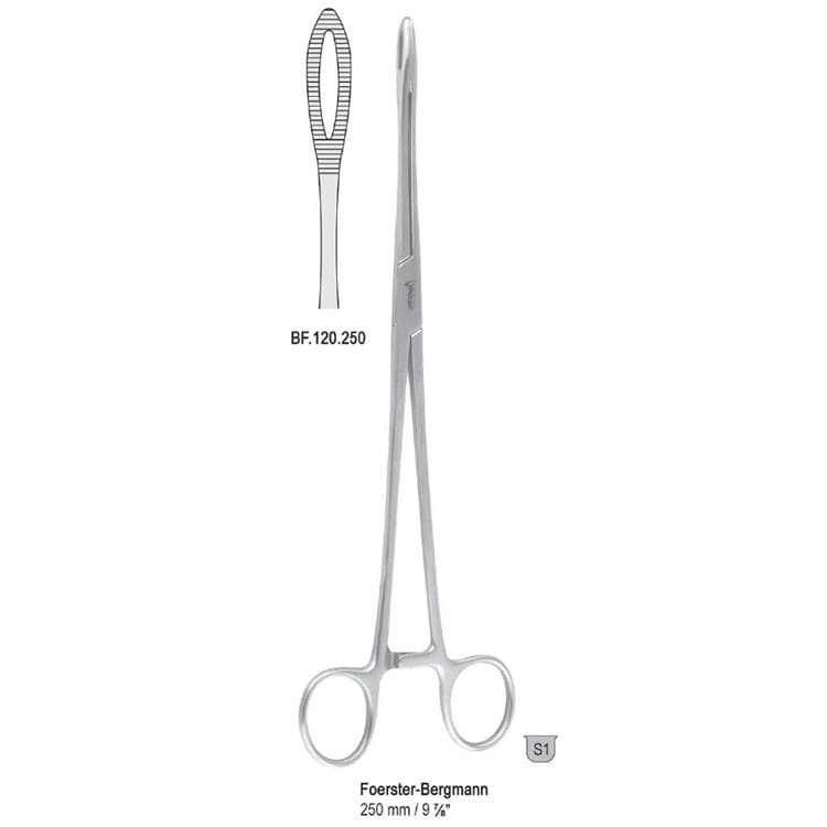 Forceps sponge Foerster-Bergmann straight 250mm – oficiali Falcon Medical produkto nuotrauka