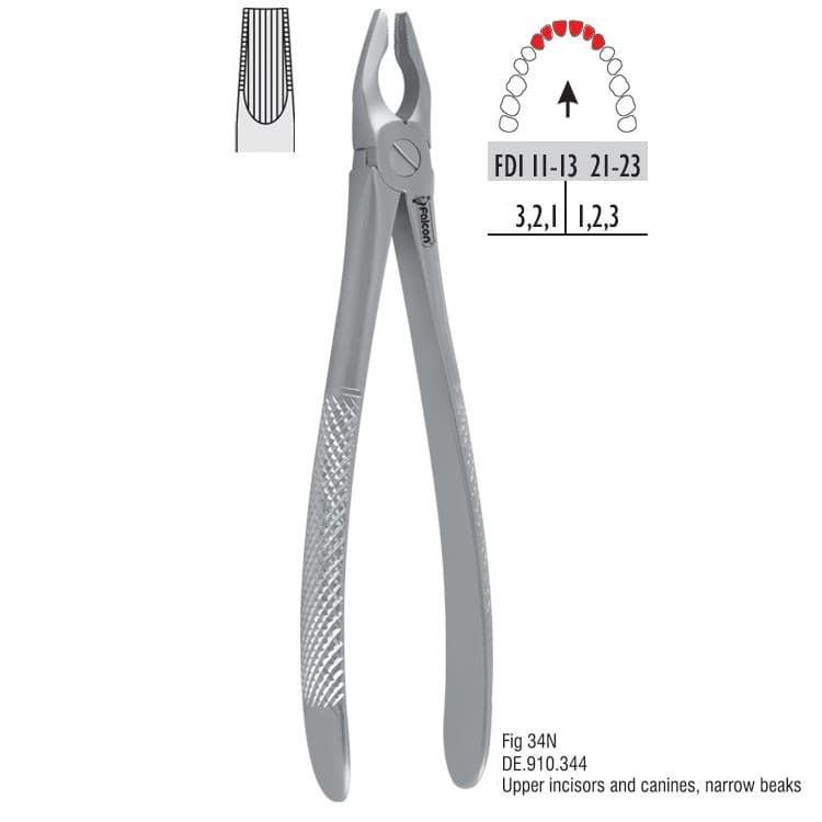 Atramatic extraction forceps tapered beaks fig. 34N – oficiali Falcon Medical produkto nuotrauka