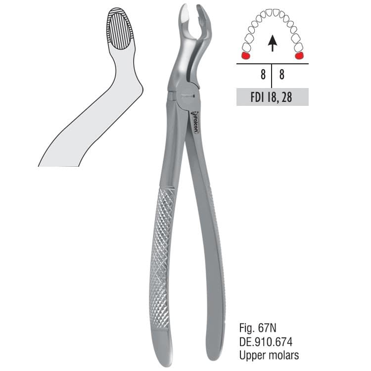 Atramatic extraction forceps tapered beaks fig. 67N – oficiali Falcon Medical produkto nuotrauka