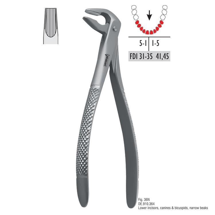 Atramatic extraction forceps tapered beaks fig. 36N – oficiali Falcon Medical produkto nuotrauka