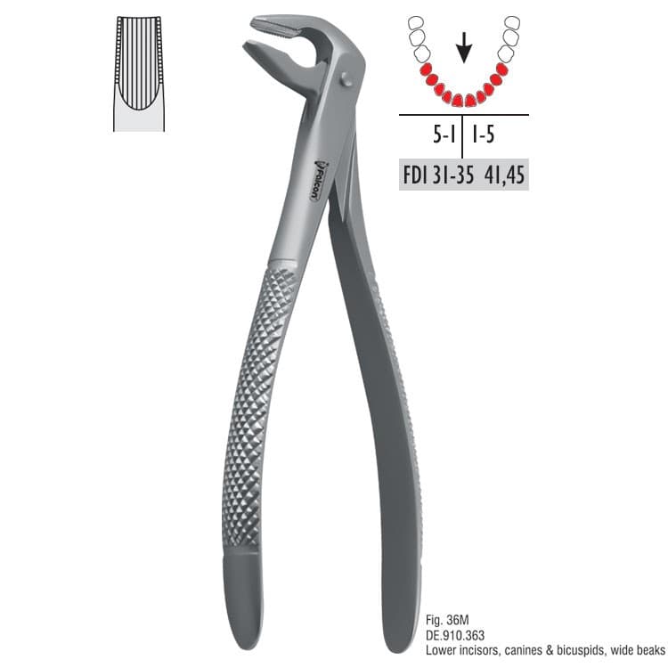 Atramatic extraction forceps tapered beaks fig. 36M – oficiali Falcon Medical produkto nuotrauka