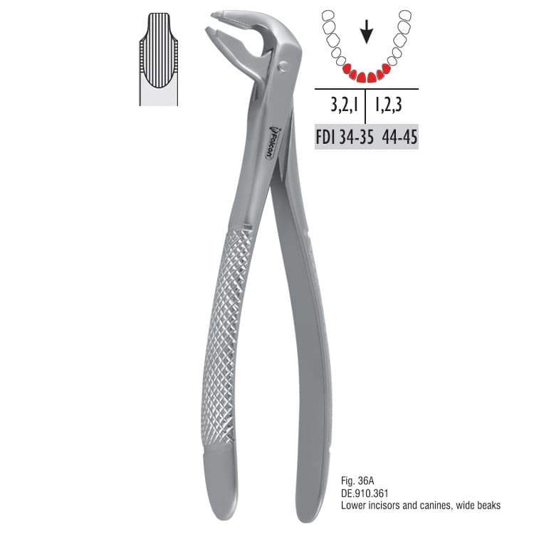 Atramatic extraction forceps notched beaks fig. 36A – oficiali Falcon Medical produkto nuotrauka