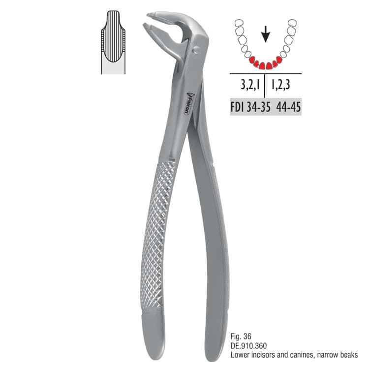 Atramatic extraction forceps notched beaks fig. 36 – oficiali Falcon Medical produkto nuotrauka