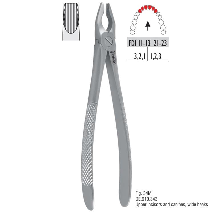 Atramatic extraction forceps tapered beaks fig. 34M – oficiali Falcon Medical produkto nuotrauka