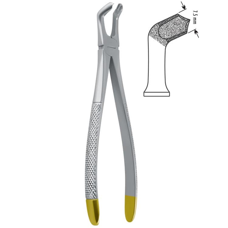 Diamond-Grip Extracting forceps European pattern fig. 79 – oficiali Falcon Medical produkto nuotrauka