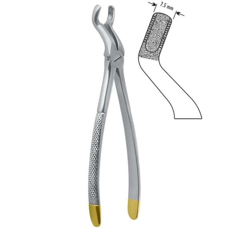Diamond-Grip Extracting forceps European pattern fig. 67A – oficiali Falcon Medical produkto nuotrauka