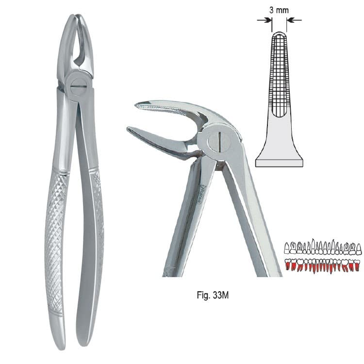 Extracting forceps European pattern fig. 33M – oficiali Falcon Medical produkto nuotrauka
