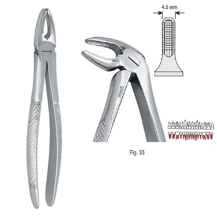 Extracting forceps European pattern fig. 33 – oficiali Falcon Medical produkto nuotrauka