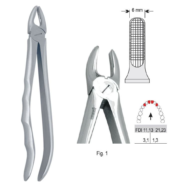 Extracting forceps with anatomical handle fig. 1 – oficiali Falcon Medical produkto nuotrauka