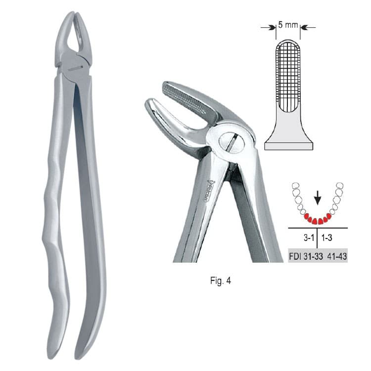 Extracting forceps with anatomical handle fig. 4 – oficiali Falcon Medical produkto nuotrauka