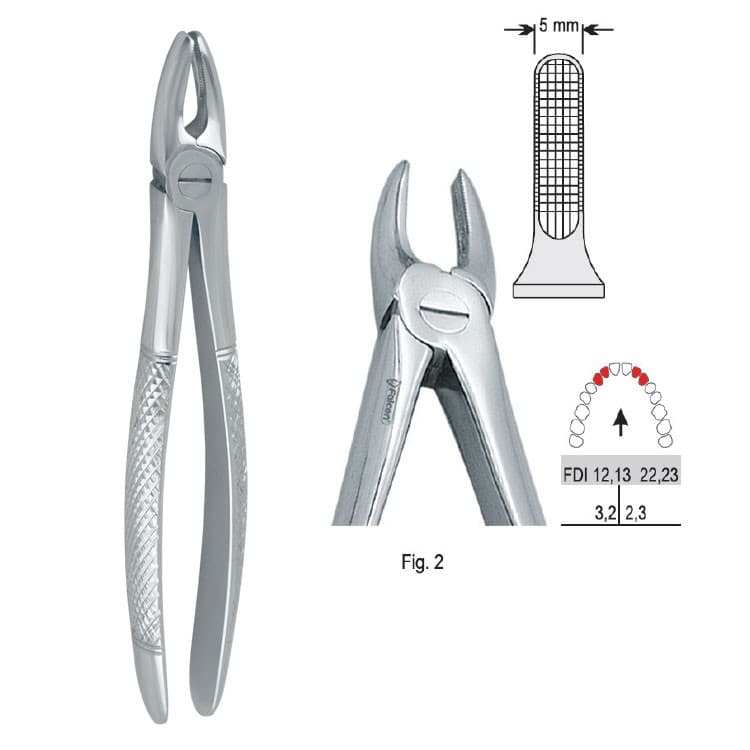 Extracting forceps European pattern fig. 2 – oficiali Falcon Medical produkto nuotrauka