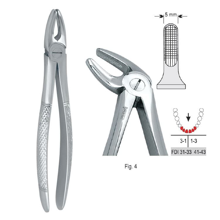 Extracting forceps European pattern fig. 4 – oficiali Falcon Medical produkto nuotrauka