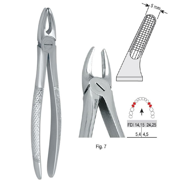 Extracting forceps European pattern fig. 7 – oficiali Falcon Medical produkto nuotrauka