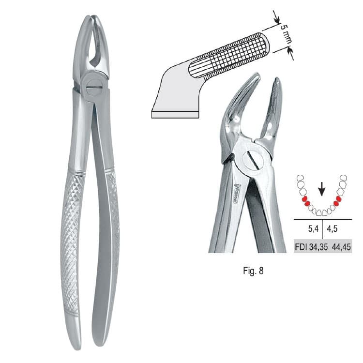 Extracting forceps European pattern fig. 8 – oficiali Falcon Medical produkto nuotrauka
