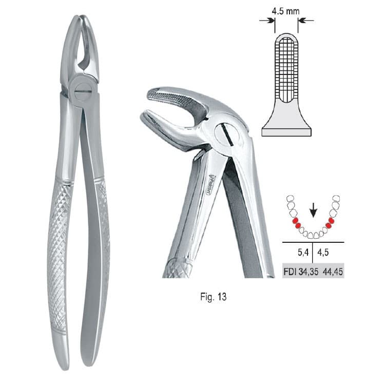 Extracting forceps European pattern fig. 13 – oficiali Falcon Medical produkto nuotrauka