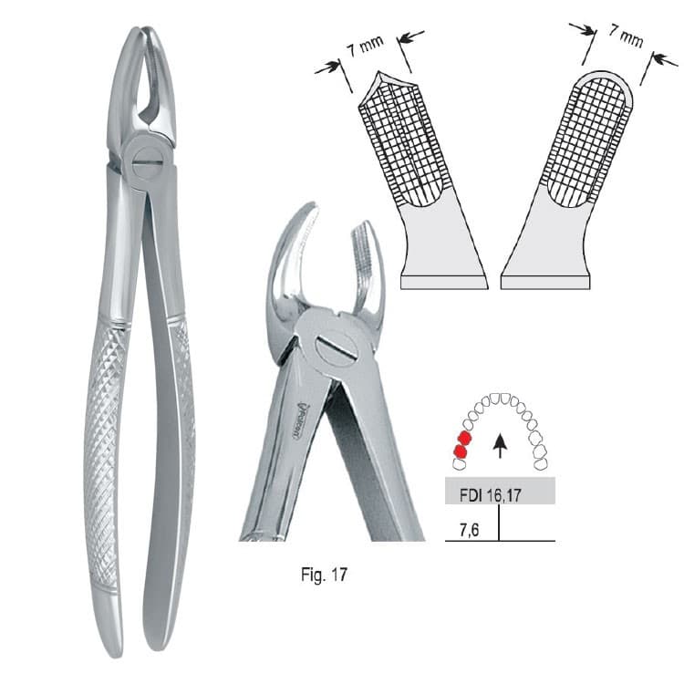 Extracting forceps European pattern fig. 17 – oficiali Falcon Medical produkto nuotrauka