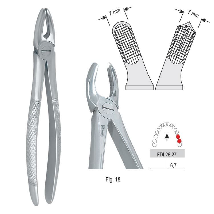Extracting forceps European pattern fig. 18 – oficiali Falcon Medical produkto nuotrauka