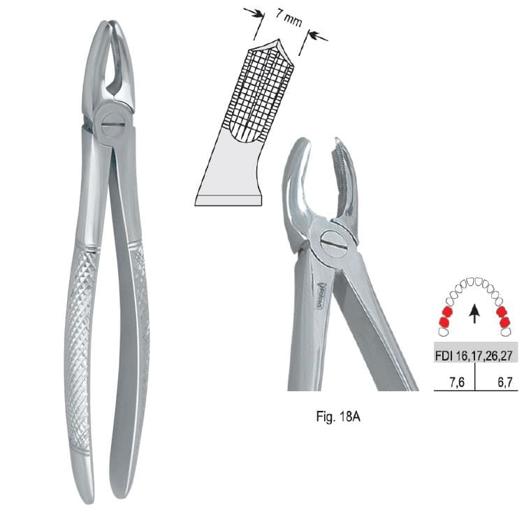 Extracting forceps European pattern fig. 18A – oficiali Falcon Medical produkto nuotrauka