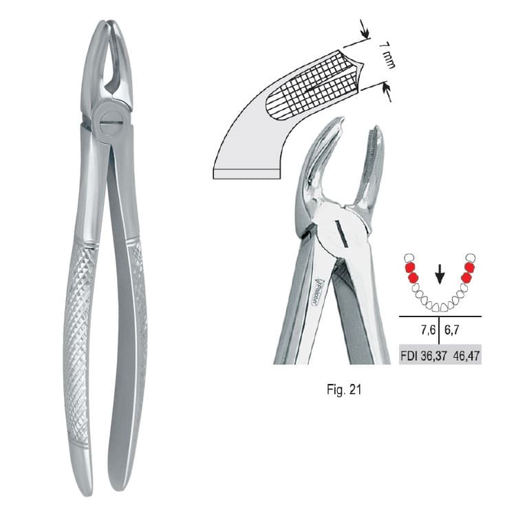 Extracting forceps European pattern fig. 21 – oficiali Falcon Medical produkto nuotrauka