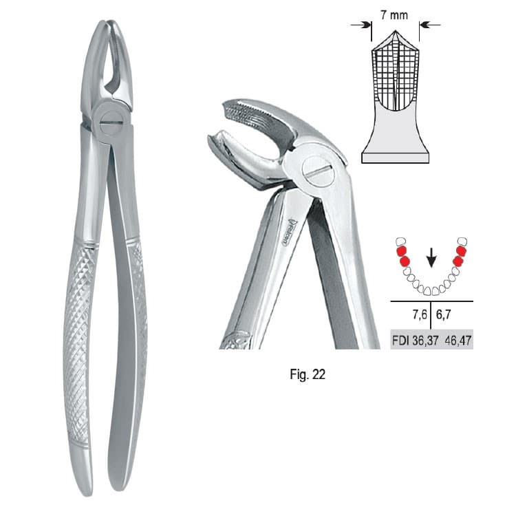 Extracting forceps European pattern fig. 22 – oficiali Falcon Medical produkto nuotrauka