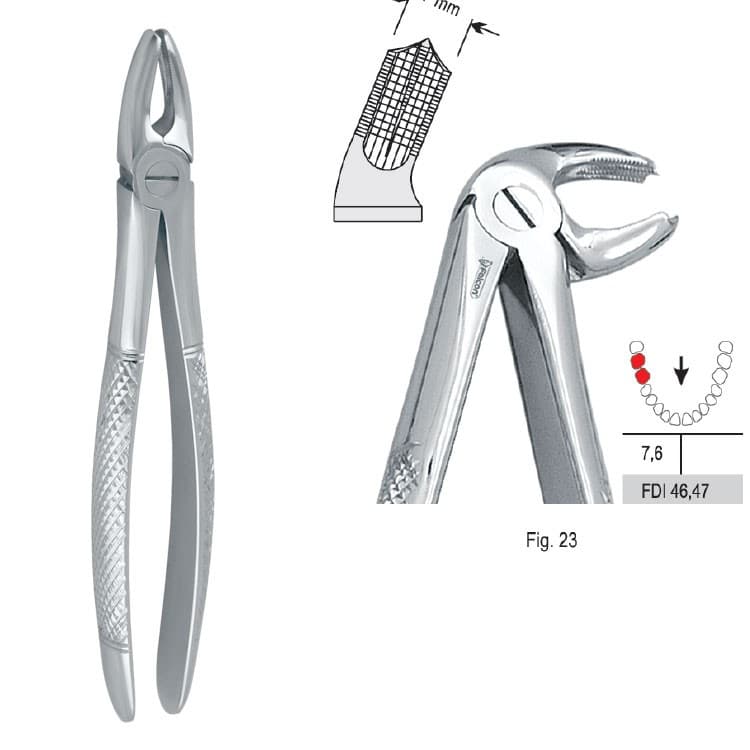 Extracting forceps European pattern fig. 23 – oficiali Falcon Medical produkto nuotrauka
