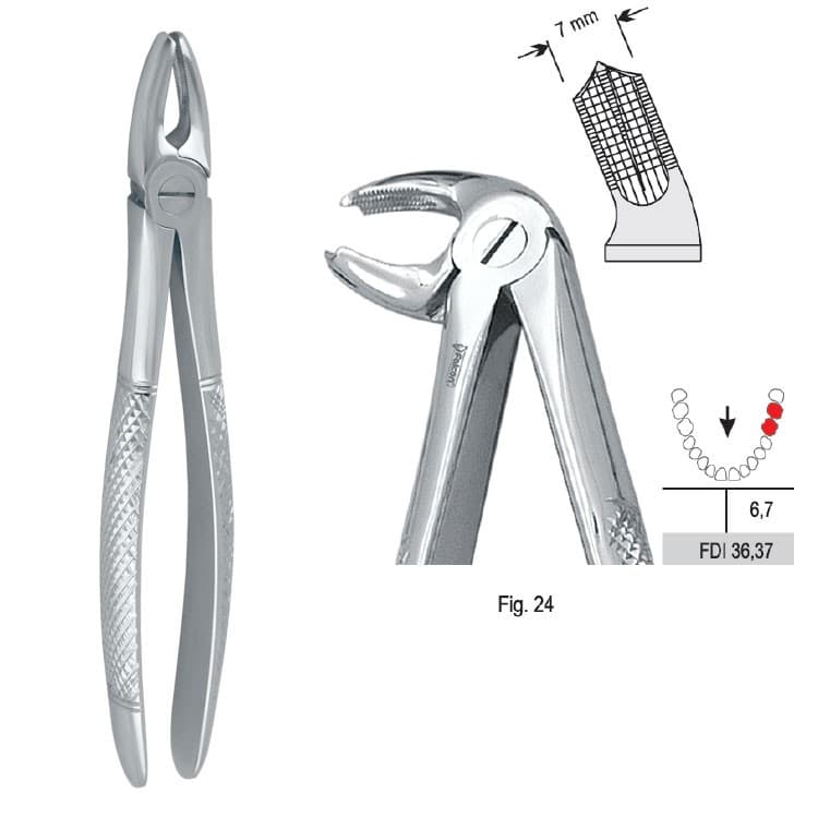 Extracting forceps European pattern fig. 24 – oficiali Falcon Medical produkto nuotrauka