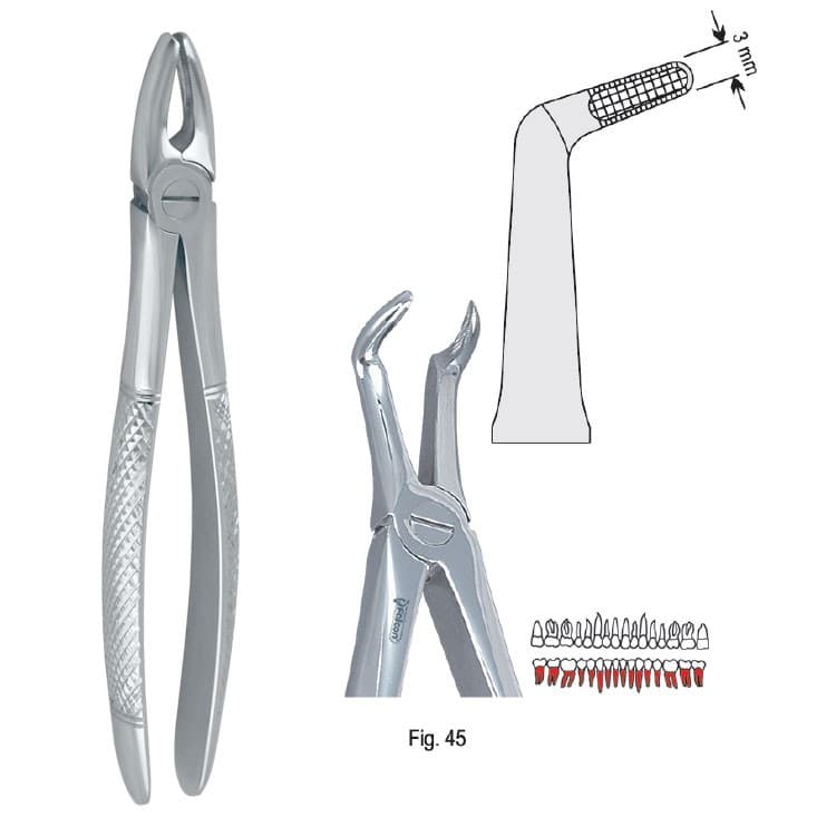 Extracting forceps European pattern fig. 45 – oficiali Falcon Medical produkto nuotrauka