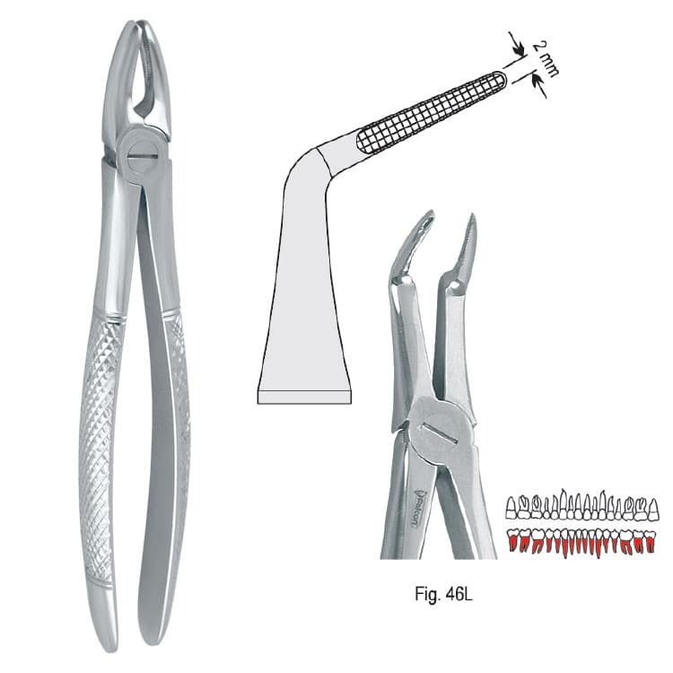 Extracting forceps European pattern fig. 46L – oficiali Falcon Medical produkto nuotrauka