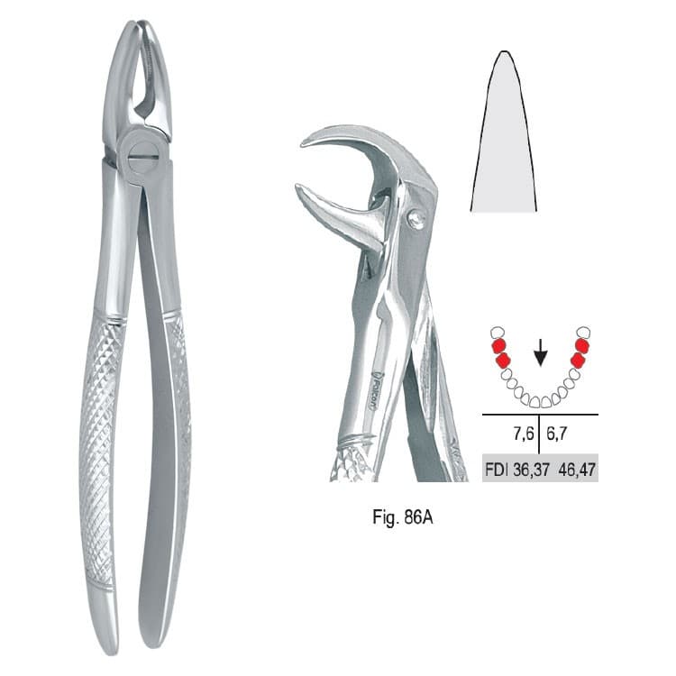 Extracting forceps European pattern fig. 86A – oficiali Falcon Medical produkto nuotrauka