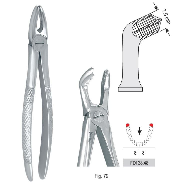 Extracting forceps European pattern fig. 79 – oficiali Falcon Medical produkto nuotrauka