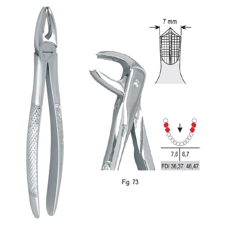 Extracting forceps European pattern fig. 73 – oficiali Falcon Medical produkto nuotrauka