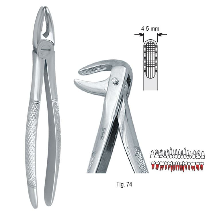 Extracting forceps European pattern fig. 74 – oficiali Falcon Medical produkto nuotrauka