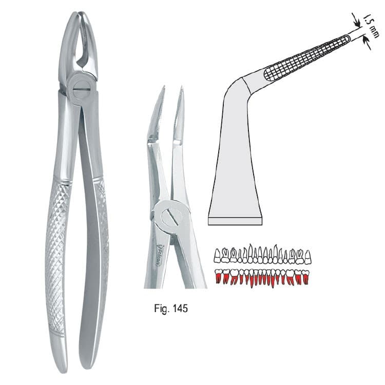 Extracting forceps European pattern fig. 145 – oficiali Falcon Medical produkto nuotrauka