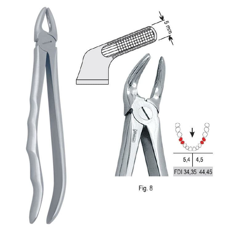Extracting forceps with anatomical handle fig. 8 – oficiali Falcon Medical produkto nuotrauka