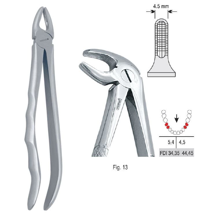Extracting forceps with anatomical handle fig. 13 – oficiali Falcon Medical produkto nuotrauka