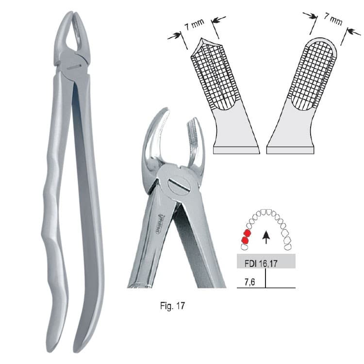 Extracting forceps with anatomical handle fig. 17 – oficiali Falcon Medical produkto nuotrauka